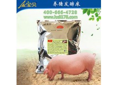 干撒式发酵床养殖藏香猪技术