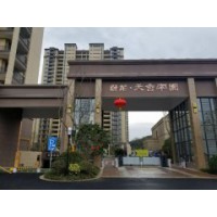 隆迈（上海）投资有限公司