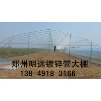 郑州市明远农业科技有限公司