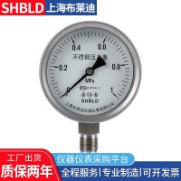 上海布莱迪Y-200 Y-250普通一般压力表气压表