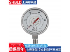 布莱迪YCSH/YCS-100测无腐蚀性非结晶凝固双针压力表